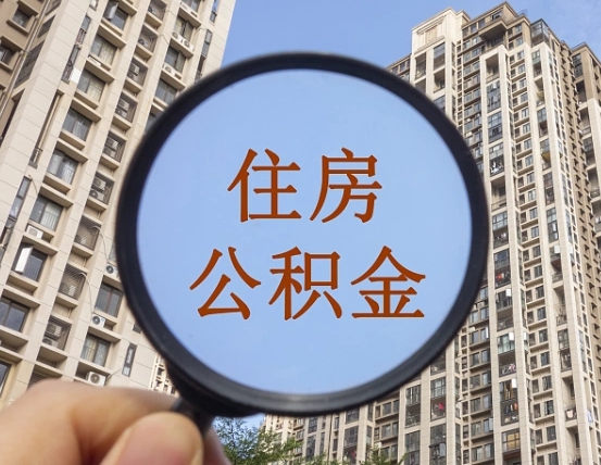 宁阳退休后查不到公积金明细了吗（退休后公积金查询不到原因）